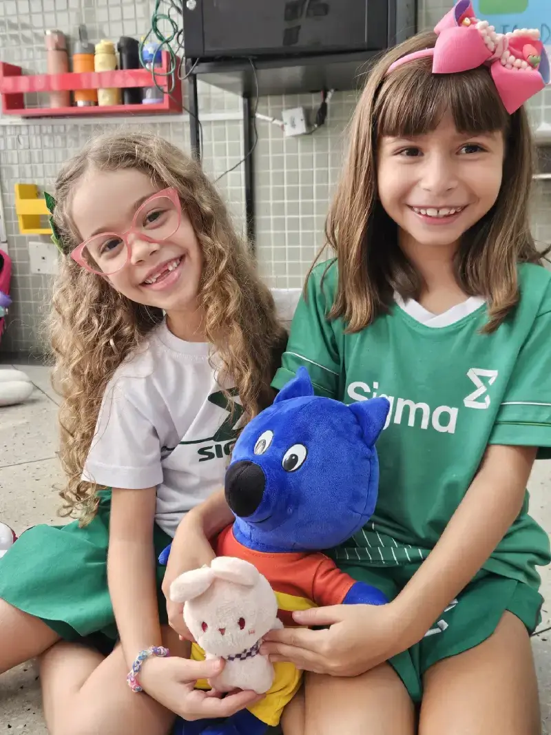 Emoções na educação infantil